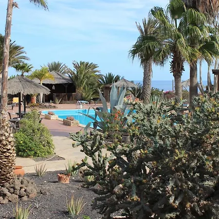 Rustic 1-bed In Parque Holandes La Oliva