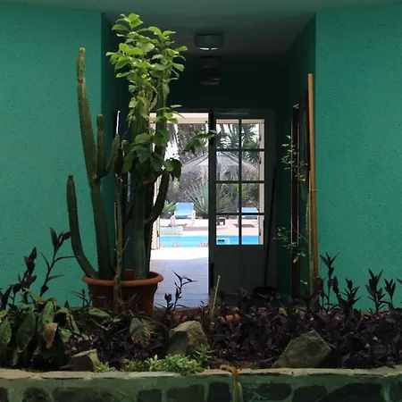 Rustic 1-bed In Parque Holandes Apartment *